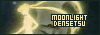 100x35 button