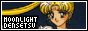 88x31 button